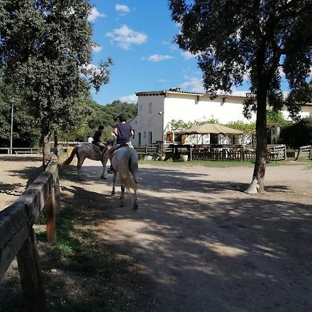 Casa Rural, Can Cirera Serinya Exterior foto