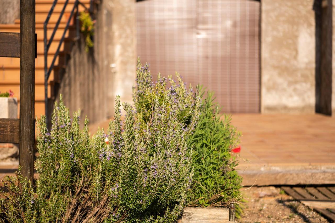 Casa Rural, Can Cirera Serinya Exterior foto